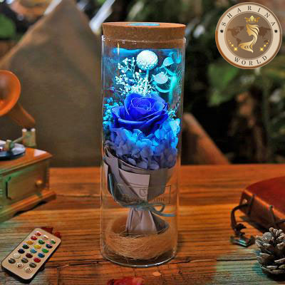 led rose bottle lamp