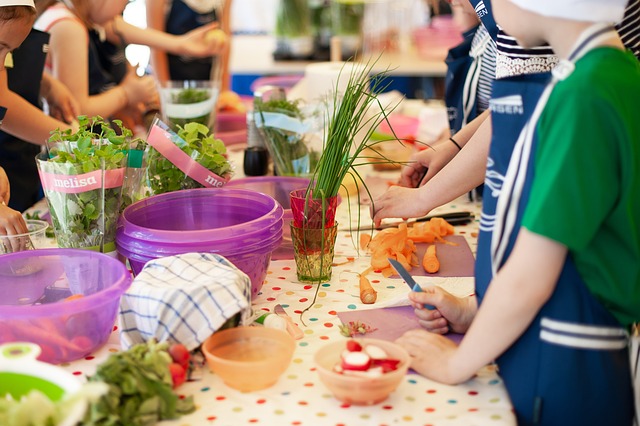 nutrition program