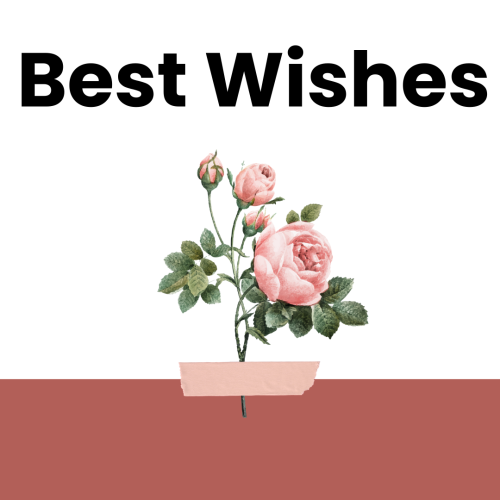 Best Wishes, flowers on a white background.