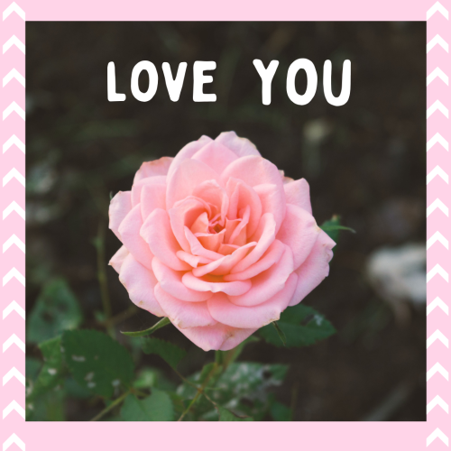 Pink flower on wish card Love you
