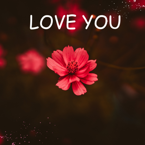 Beautiful Red flower, Love you!