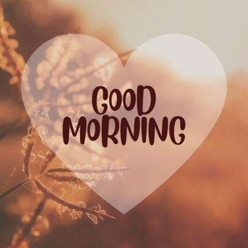  Good Morning Beautiful Image Card For Wishing