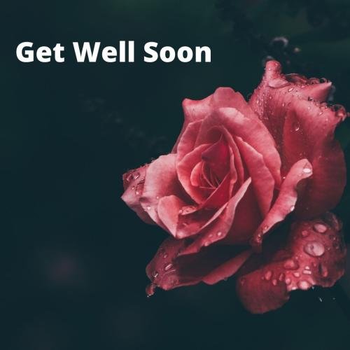 Get well soon with a Beautiful flower