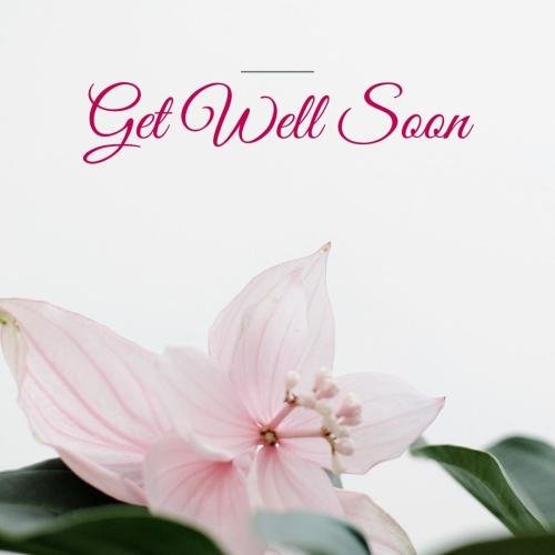Get well soon with a light pink flower