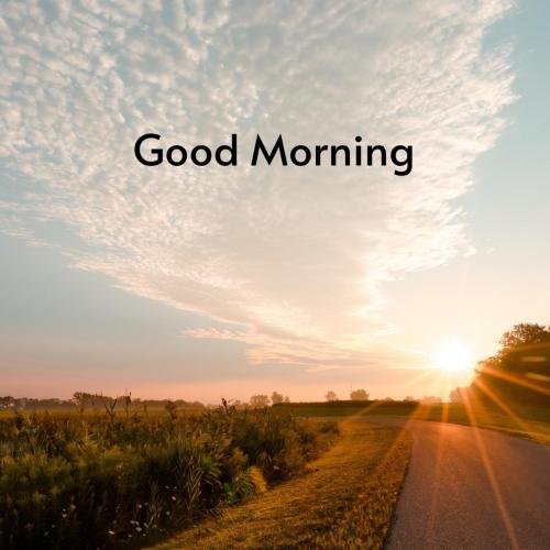 Village view, good morning.