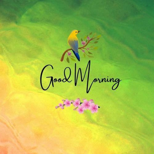 Good Moring Card For Wishing