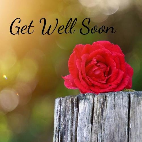 Get well soon red flower