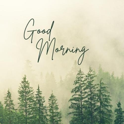 Globe image, good morning.