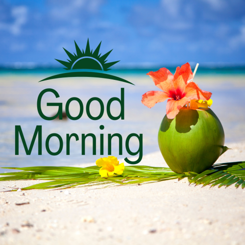 coco juice on good morning