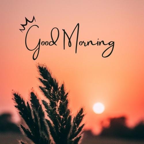 Good Morning Card For Wishing