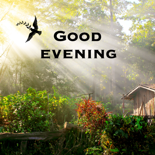 Sunshine on wish card GOOD EVENING