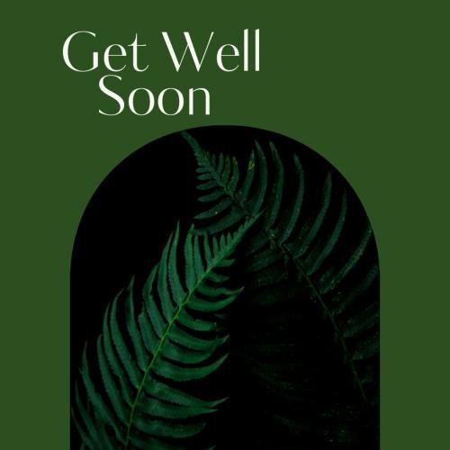 Get well soon with green background and plants