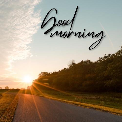 road side view at good morning