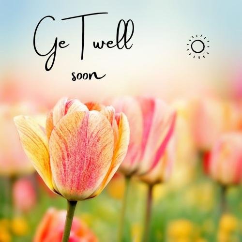 Get well soon with a beautiful flower