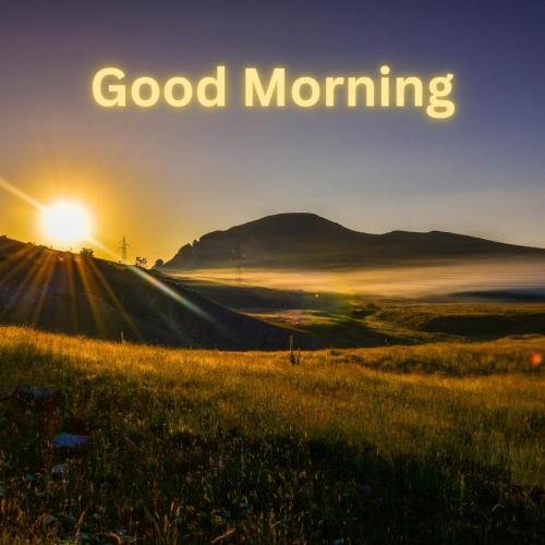 Desert view, good morning.