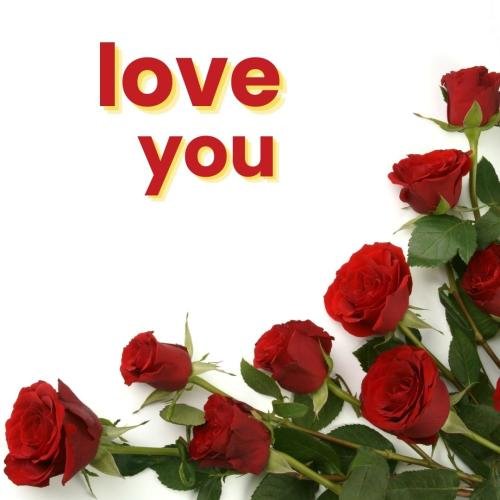 Red roses on wish card Love you