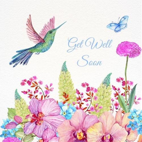 Get well soon with many color of flowers and a beautiful bird