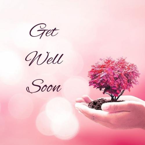 Get well soon with a small pink tree