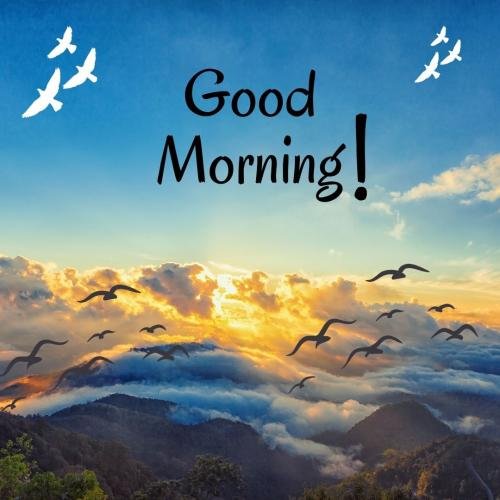 Image Card For Wishing Good Morning