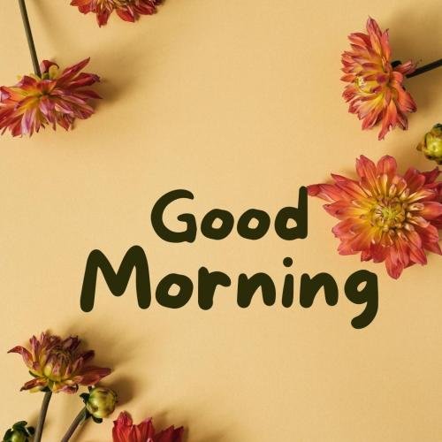 Good Morning Image card