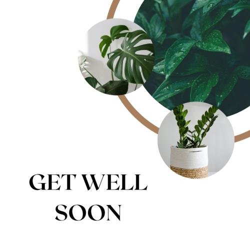 Wishing get well soon with a beautiful image