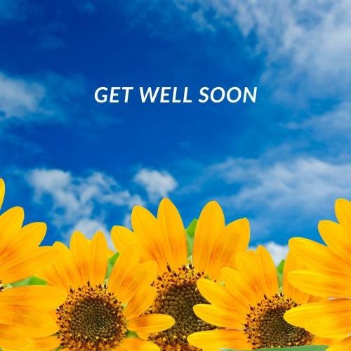Get well soon with sunflowers
