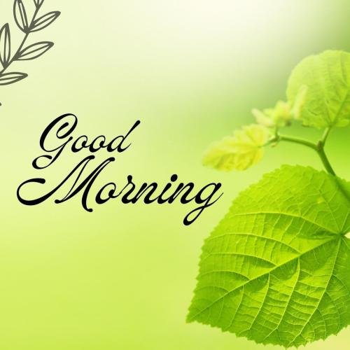 Image Card For Wishing Good Morning