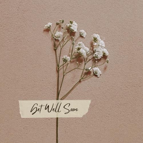 Get well soon with white flower