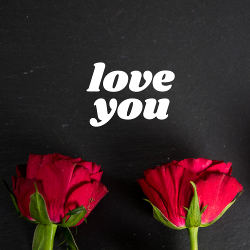 Red roses on wish card Love you