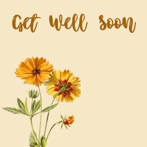Get well soon with sunflowers