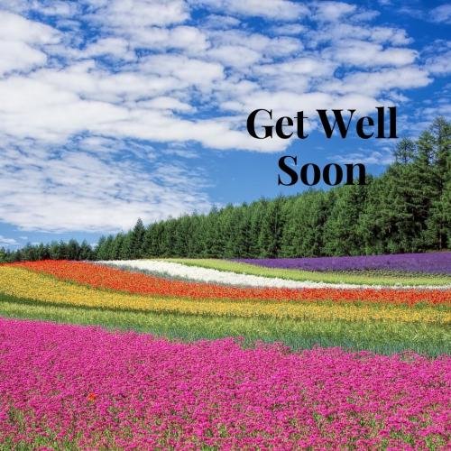 Get well soon with field of flowers
