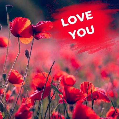 Flowers on wish card Love you