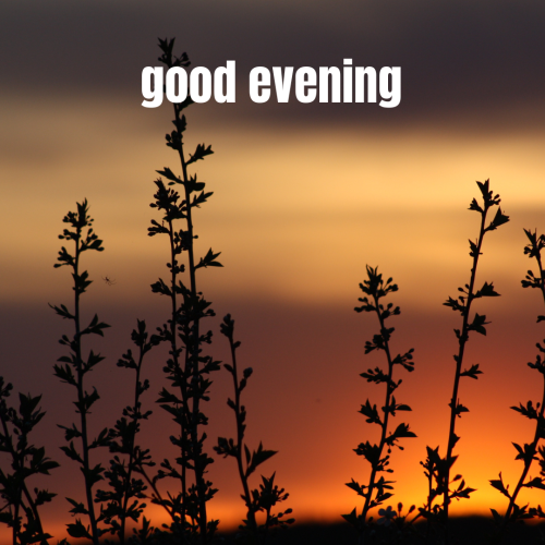 A beautiful sunset view, GOOD EVENING
