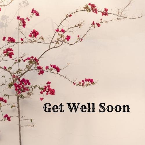 The tree flowers get well soon