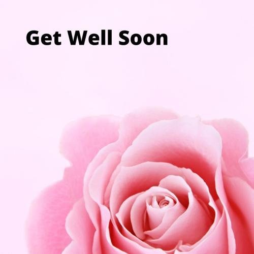 Get well soon with beautiful flower