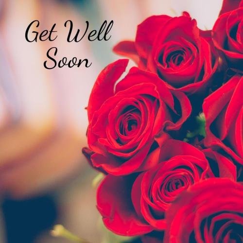 Get well soon pack of roses