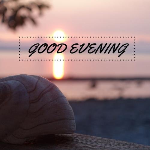 Sunset view in the back Good Evening.