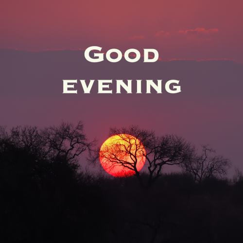 Sun and trees on wish card, GOOD EVENING