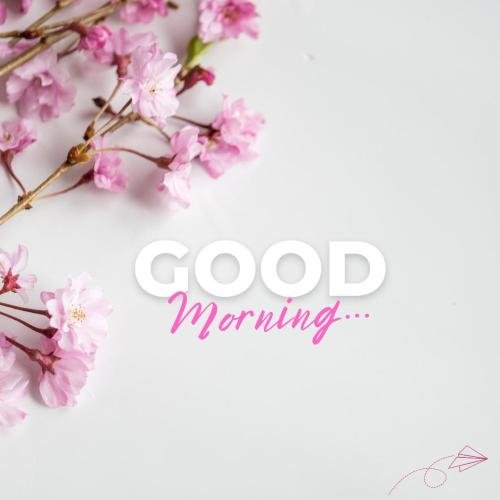 Good morning wallpaper