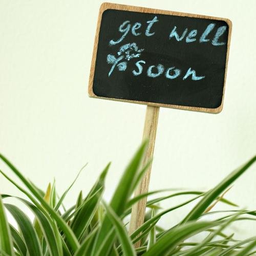 Get well soon written on a board