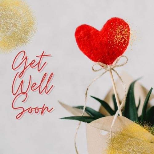 Get well soon with a beautiful rose flower.