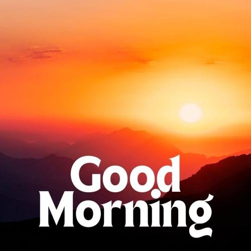 Sun flowery good morning