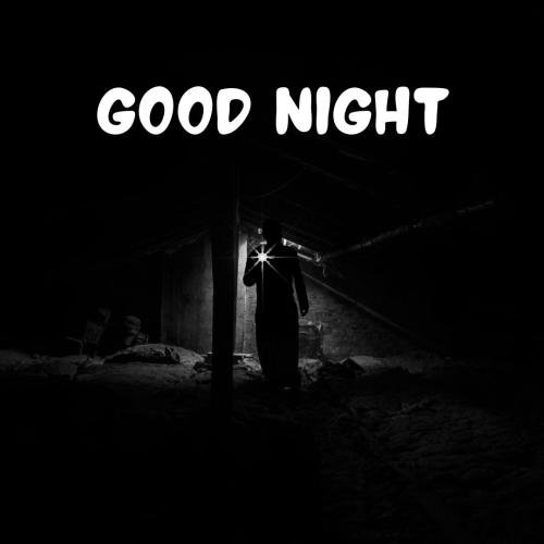 Good Night Dark Night 