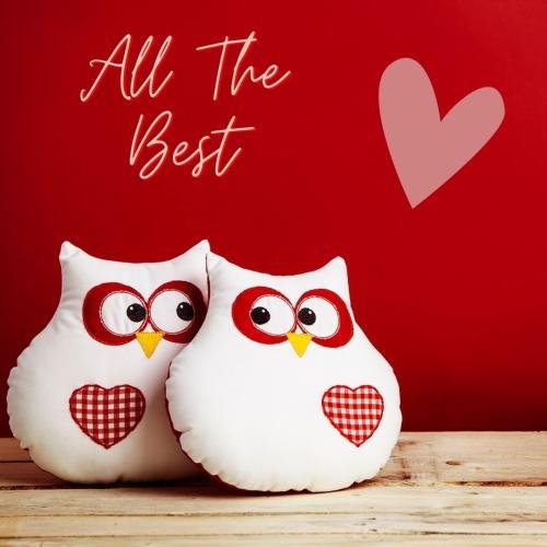 All the best with red color and bird