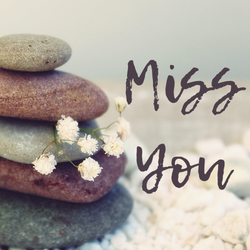 Miss You, rock and flower.