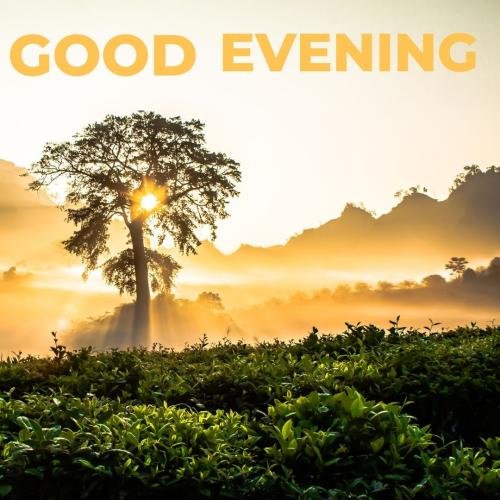 Mountain and trees on wish card Good Evening