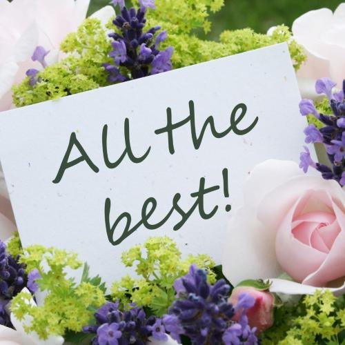 Many colors of flowers are best