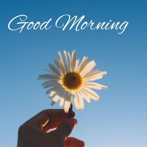 flowery good morning