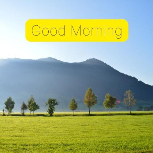 Good Morning garden view