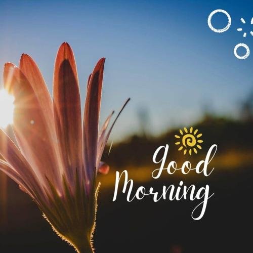 Good Morning Sun Rising In Morning